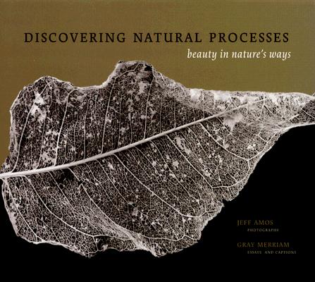 Discovering Natural Processes: Beauty in Nature's Way