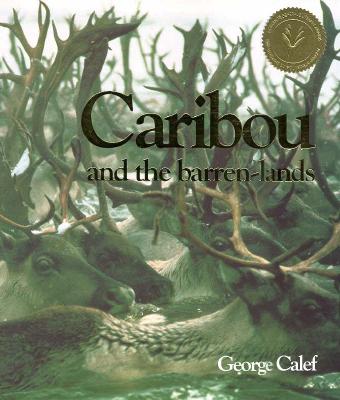 Caribou and the barren-lands
