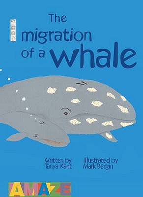 The Migration Of A Whale (Amaze)