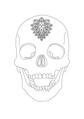 Damien Hirst: Colouring Book