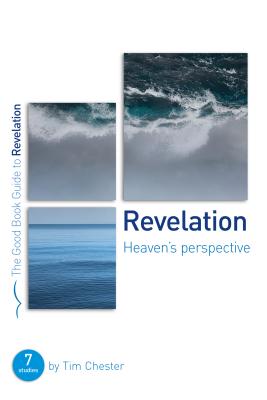 Image for Revelation: Heaven's perspective (Good Book Guides)