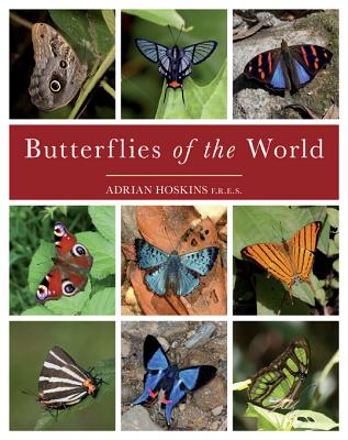 Butterflies of the World Image for Butterflies of the World