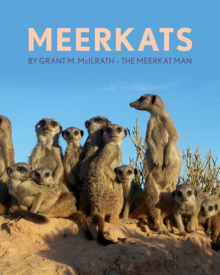 Meerkats