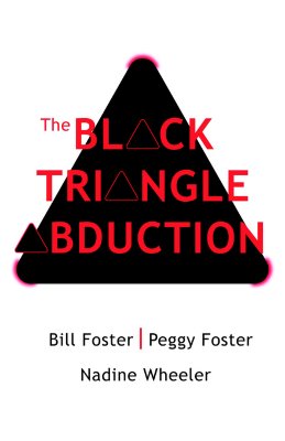 Image for The Black Triangle Abduction
