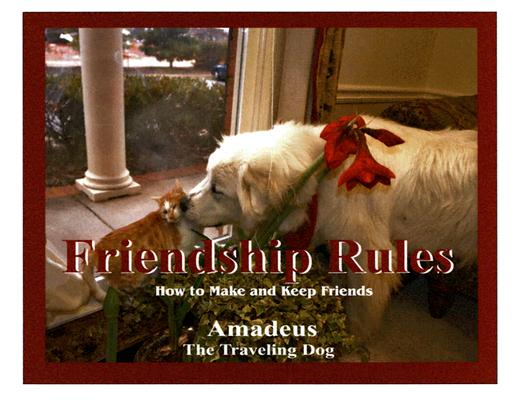 Friendship Rules : How to Make and Keep Friends