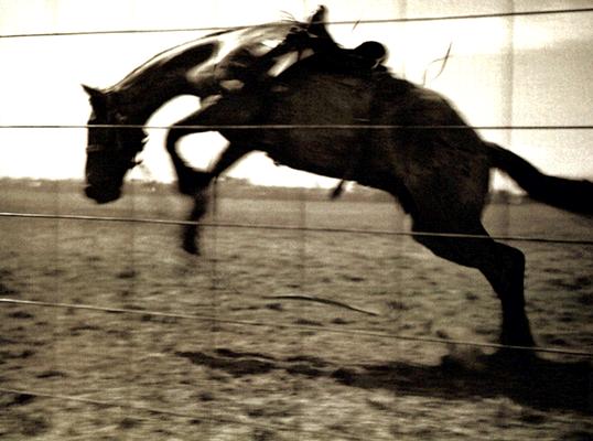 Bygone Days: Photographs By John Penor And Family