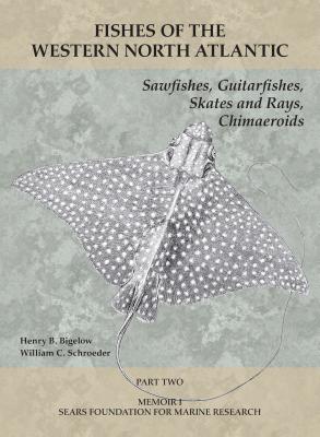 Sawfishes, Guitarfishes, Skates and Rays, Chimaeroids: Part 2 (Fishes of the Western North Atlantic)