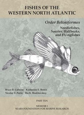 Order Beloniformes: Needlefishes, Sauries, Halfbeaks, and Flyingfishes: Part 10 (Fishes of the Western North Atlantic)