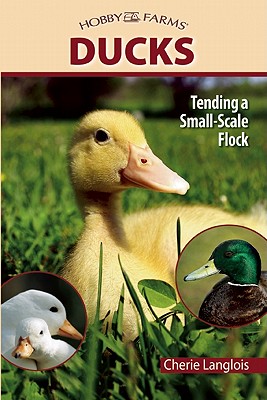 Image for Ducks: Tending a Small-Scale Flock for Pleasure and Profit (CompanionHouse Books) Choosing the Right Breeds, Housing, Diet, Breeding, Duckling Care, Health, Handling, & Egg Harvesting (Hobby Farms)