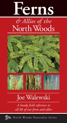 Ferns & Allies Of The North Woods, North Woods Naturalist Series