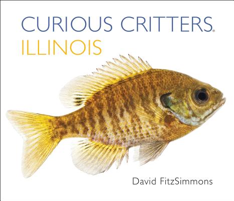 Image for Curious Critters Illinois