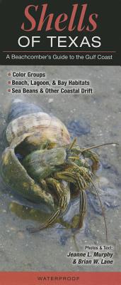 Shells of Texas: A Beachcombers Guide to the Gulf Coast (Common and Notable Species)