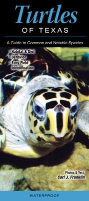 Turtles of Texas: A Guide to Common and Notable Species