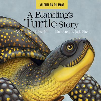 Blanding's Turtle Story