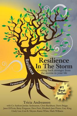 Image for Resilience In The Storm: Coming Back Stronger From The Storms In Your Life (Warrior Series) (Volume 1)