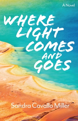 Where Light Comes and Goes: A Novel (Volume 2)