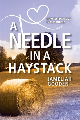 Image for A Needle in a Haystack: How to Find Love in the Rubble A Needle in a Haystack: How to Find Love in the Rubble