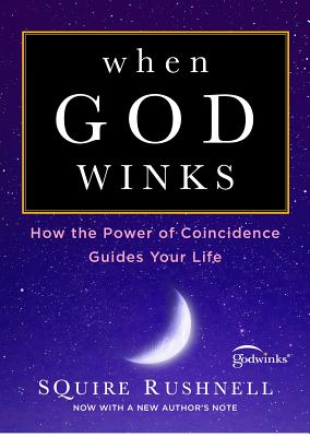 When God Winks How the Power of Coincidence Guides Your Life (The Godwink Series)