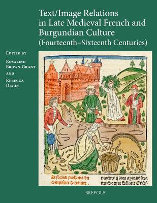 Text/Image Relations in Late Medieval French Culture (14th c. - 16th c.) (Neue Studien Zur Philosophie) [Hardcover] Rosalind Brown-Grant and Rebecca Dixon