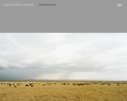 Sze Tsung Leong: Horizons
