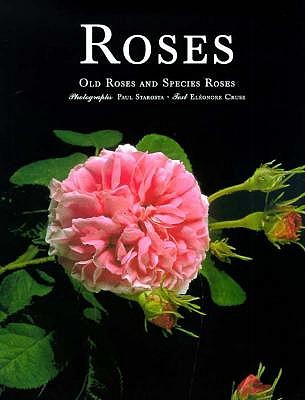 Roses - Old Roses And Species Roses