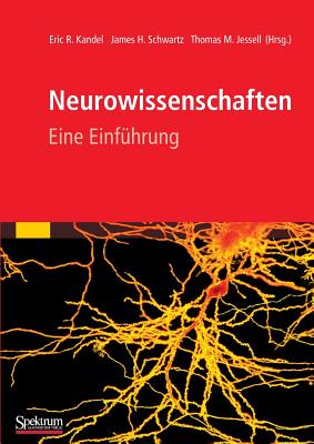 Neurowissenschaften: Eine Einführung (German Edition) Image for Neurowissenschaften: Eine Einführung (German Edition)