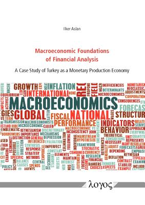 Macroeconomic Foundations of Financial Analysis: A Case Study of Turkey as a Monetary Production Economy