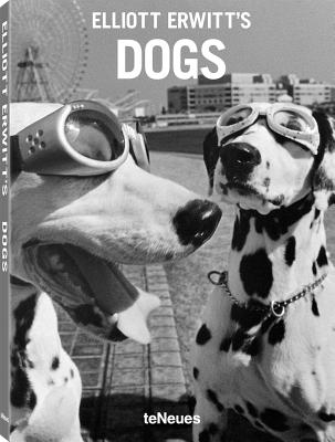Elliott Erwitt's Dogs