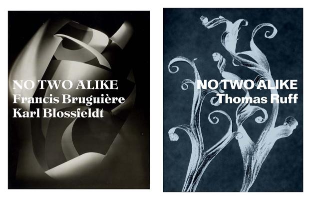 No Two Alike: Karl Blossfeldt, Francis Bruguire, Thomas Ruff