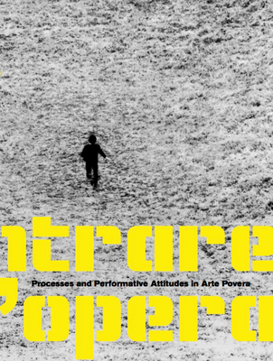 Entrare nellopera: Processes and Performative Attitudes in Arte Povera