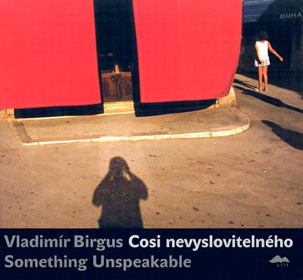 Vladimr Birgus: Something Unspeakable