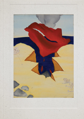 Image for Cecilia Vicua: Dreaming Water: A Retrospective of the Future (1964-) Cecilia Vicua: Dreaming Water: A Retrospective of the Future (1964-)