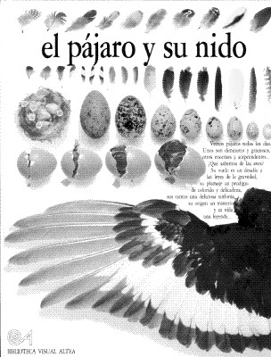 El Pajaro Y Su Nido (Eyewitness Series in Spanish) (Spanish Edition)
