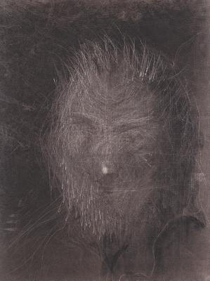 Miquel Barcel: Artist's Portfolio (Cuadernos de Artista)