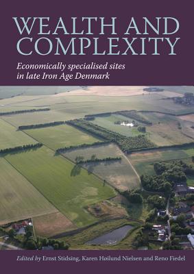 Wealth and Complexity: Economically Specialised Sites in Late Iron Age Denmark (East Jutland Museum Publications) [Hardcover] Stidsing, Ernst; Nielsen, Karen Hoilund and Fiedel, Reno