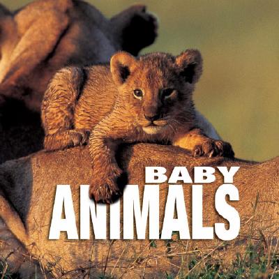 Baby Animals: Supercube (Supercubes)