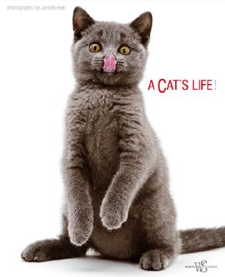 A Cat's Life