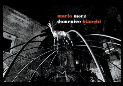 Mario Merz/Domenico Bianchi