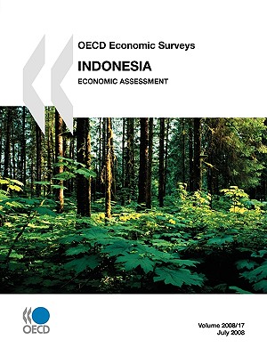 Oecd Economic Surveys: Indonesia 2008: Economic Assessment: Edition 2008 (Oecd Economic Surveys 2008)